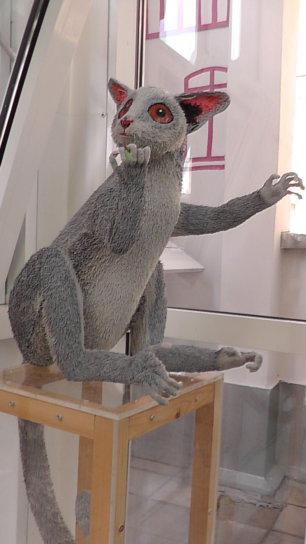 Drawing in the air. Part 3. Senegalese Galago. - My, , 3D pen, Creation, Galago, Primates, Darwin Museum, Exhibition, Longpost