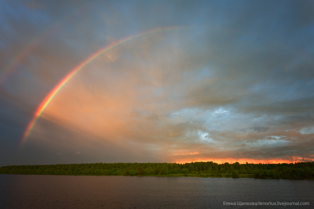 Rainbow | Пикабу