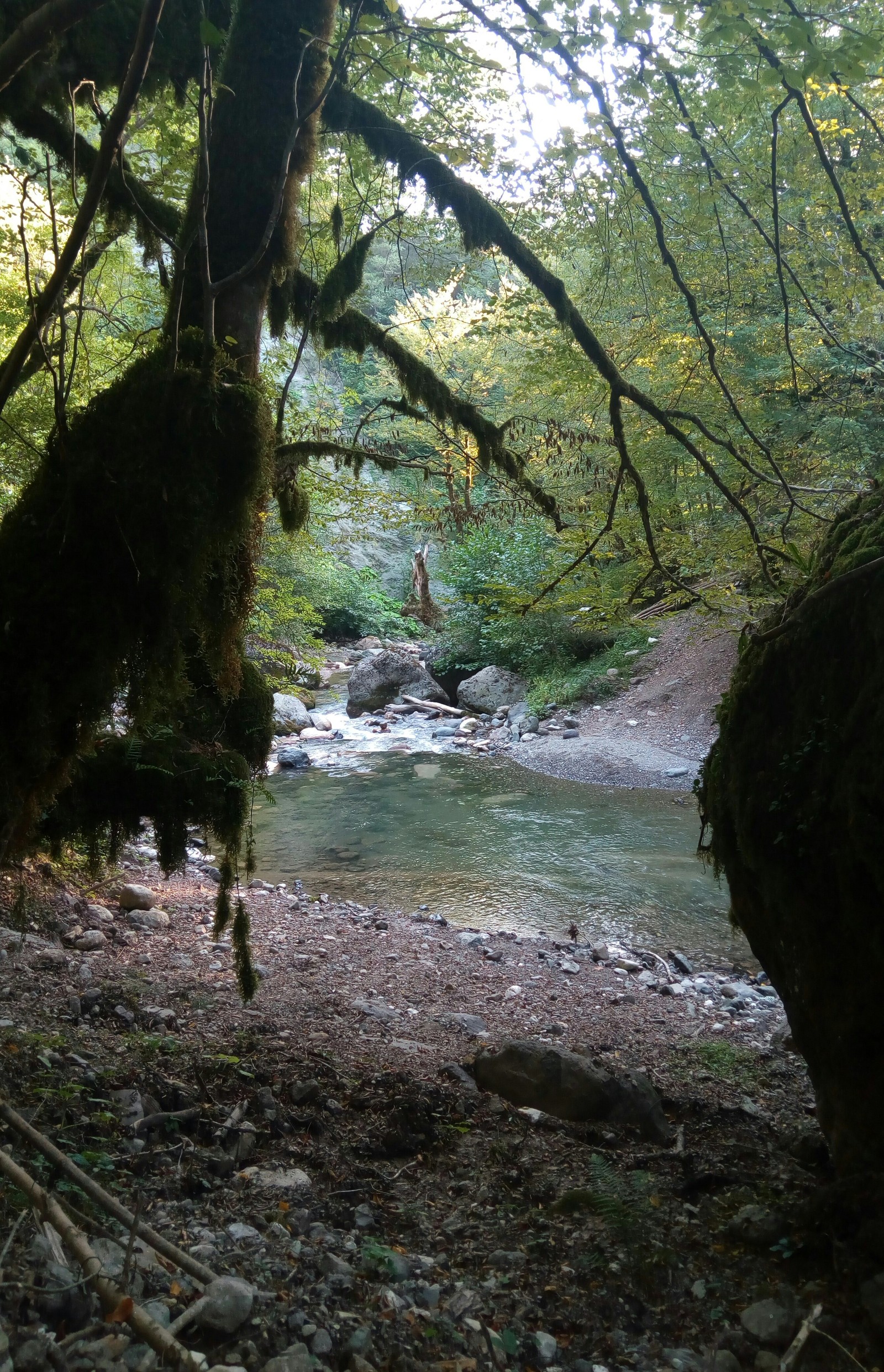 Abkhazia. - My, Abkhazia, Tsandrypsh, Excursion, Vacation, Longpost