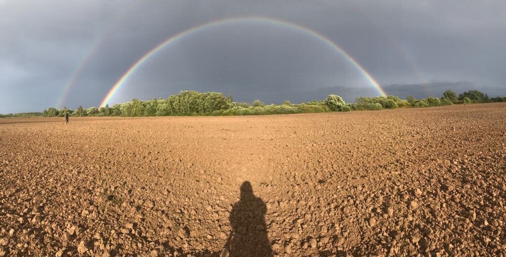 From the beginning to the end - My, Rainbow, Field, Nature, Autumn, beauty, September