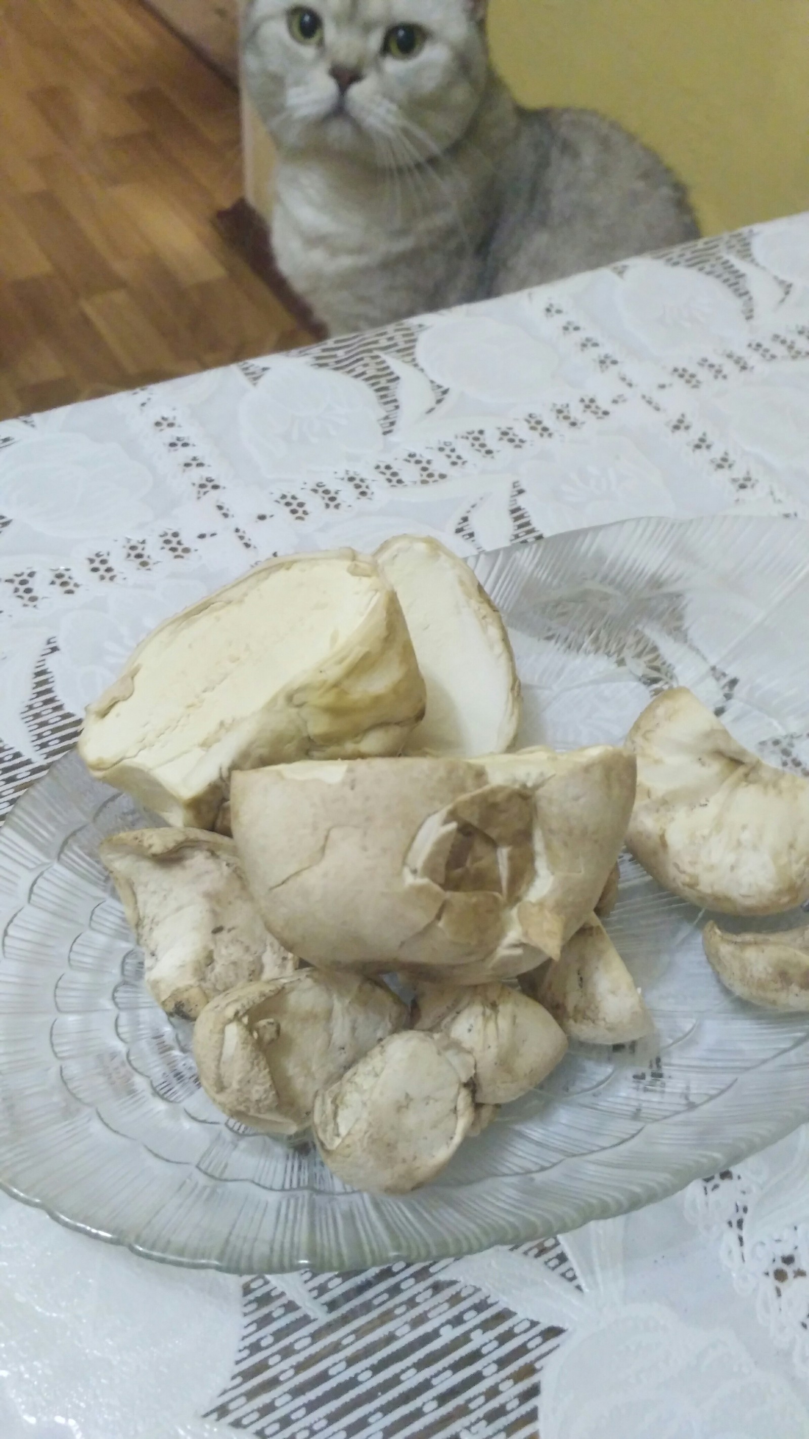 Help identify mushrooms - Autumn, Mushrooms, Botany, What kind of breed, Longpost