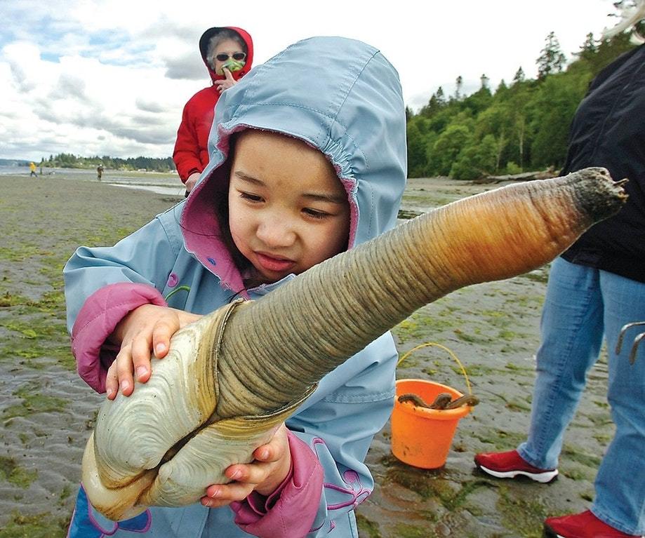 - Let's take him home! - Guidac, Clam, Children, Unknown crap