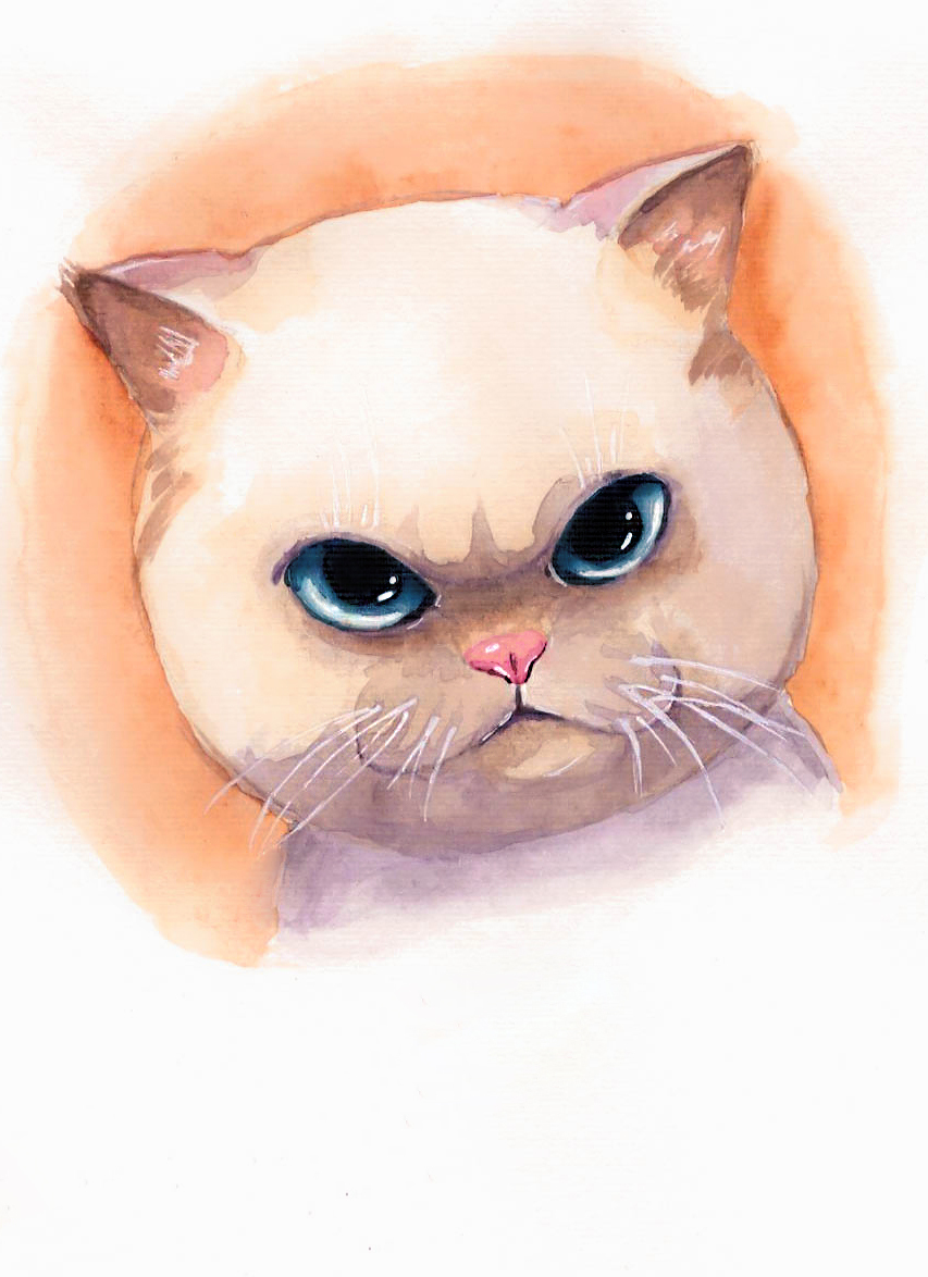 Seals: 3 - My, Art, , cat, Painting, Watercolor, Longpost