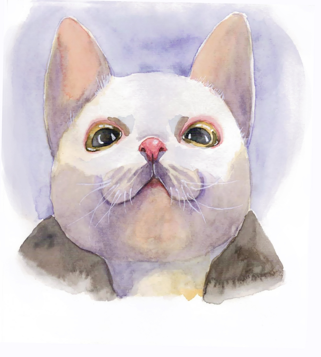 Seals: 3 - My, Art, , cat, Painting, Watercolor, Longpost