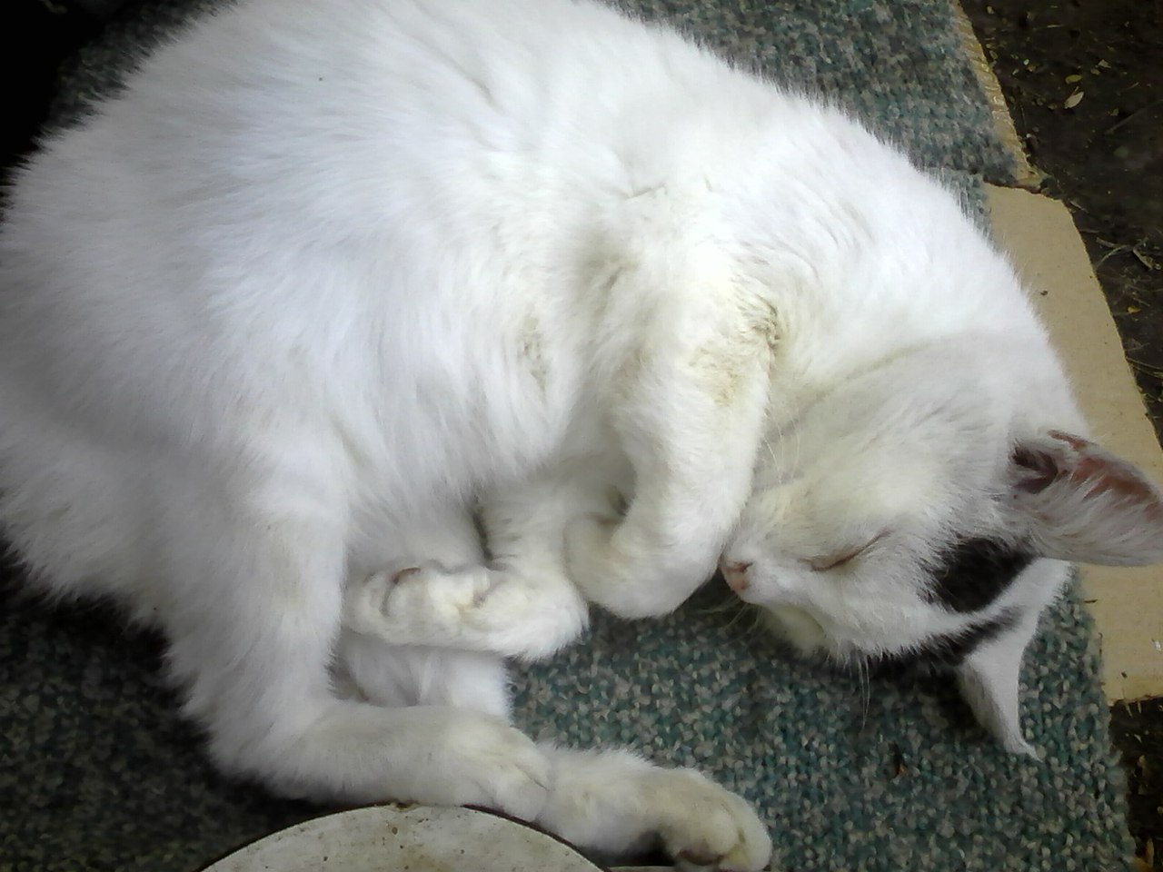 Спокойной ночи псто | Пикабу