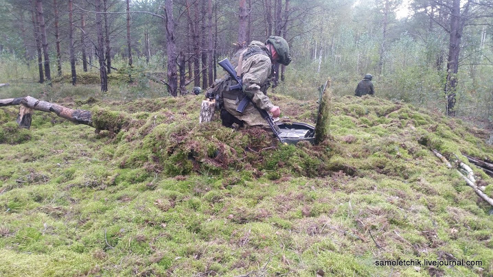 There is a sea of ??mushrooms in the forest near Borisov! - Weapon, West-2017, Forest, Mushrooms, Longpost