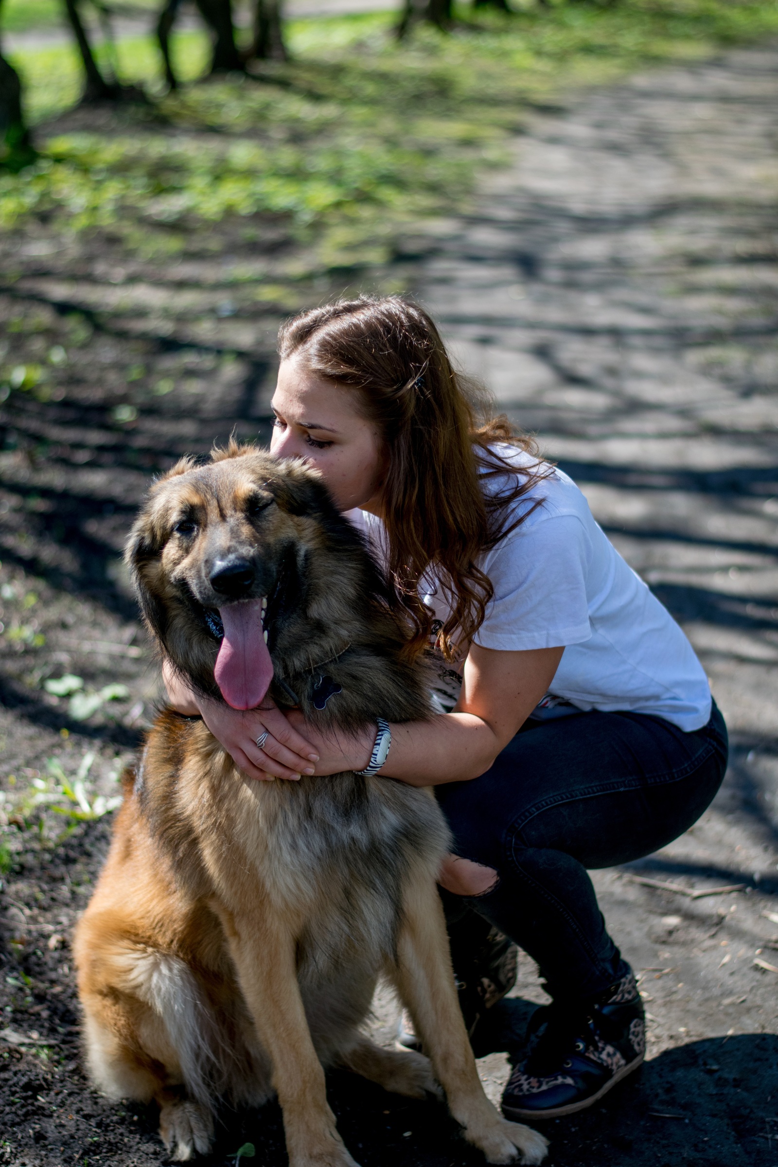 Summer walk - My, Dog lovers, Dog, Pet, Longpost, Pets