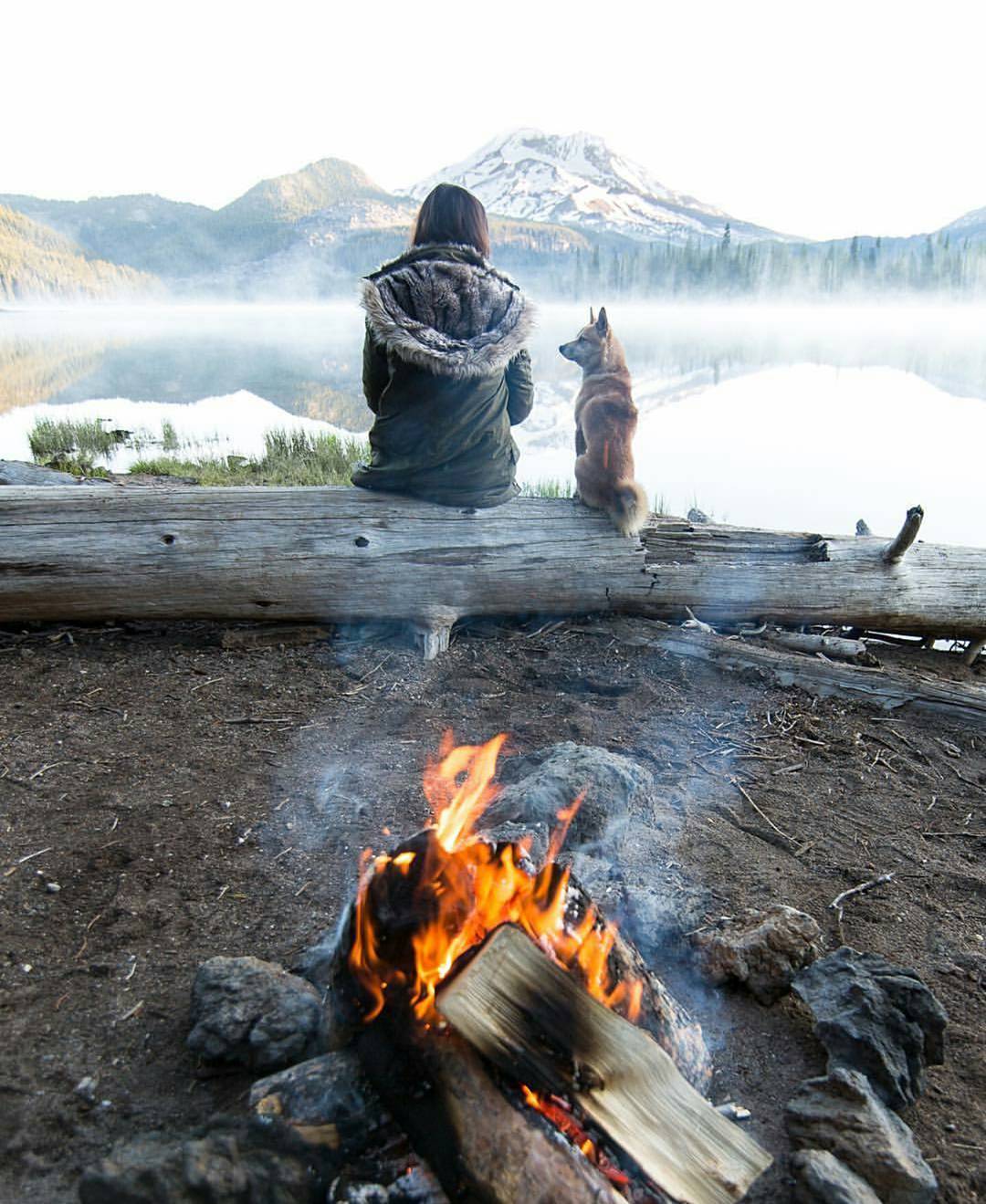 Admiring the beauties of nature - Dog, Girls, Nature, The mountains