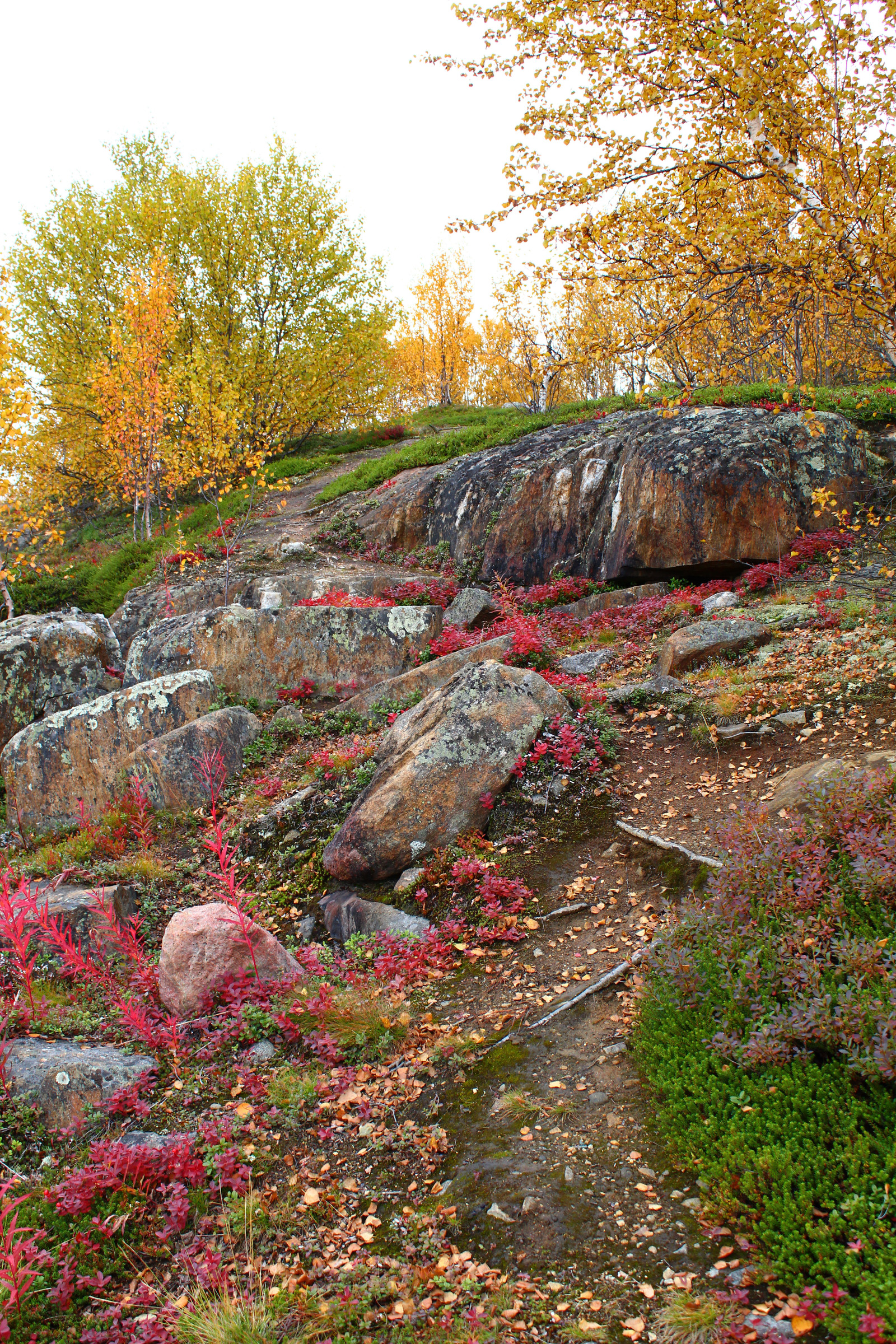 Bright colors of Murmansk autumn - My, Autumn, Murmansk, The photo, Photographer, Longpost