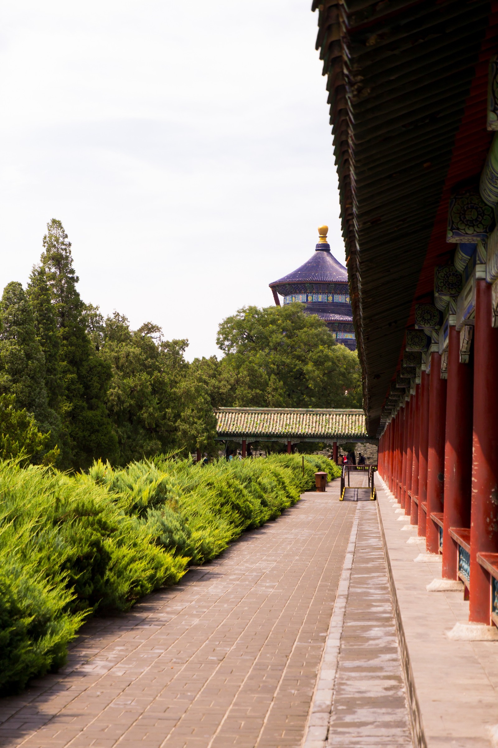 This was the last trip with the old camera (Canon 600d) - My, Beijing, China, The photo, Canon 600D, Nikon, Tamron, Longpost