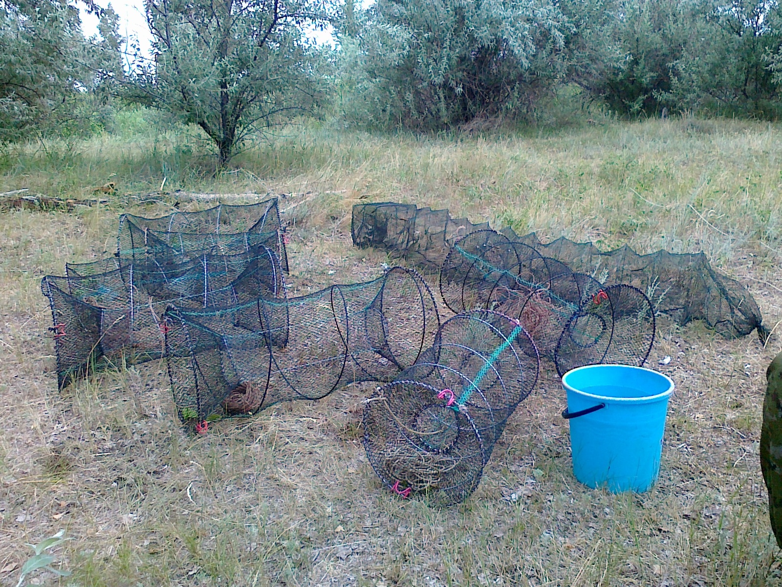 Crayfish for the weekend - My, Crayfish, Fishing, Nature, Beer, Longpost, The photo