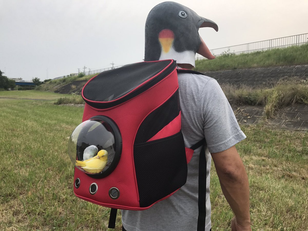 Cozy - Backpack, A parrot, 