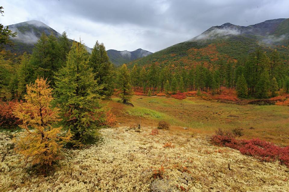 Autumn Yakutia - , Yakutia, September, 2017, The photo, Nature, Landscape, Tourism, Longpost