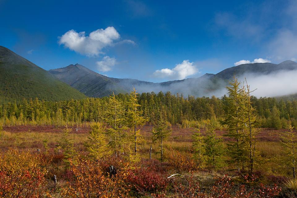 Autumn Yakutia - , Yakutia, September, 2017, The photo, Nature, Landscape, Tourism, Longpost