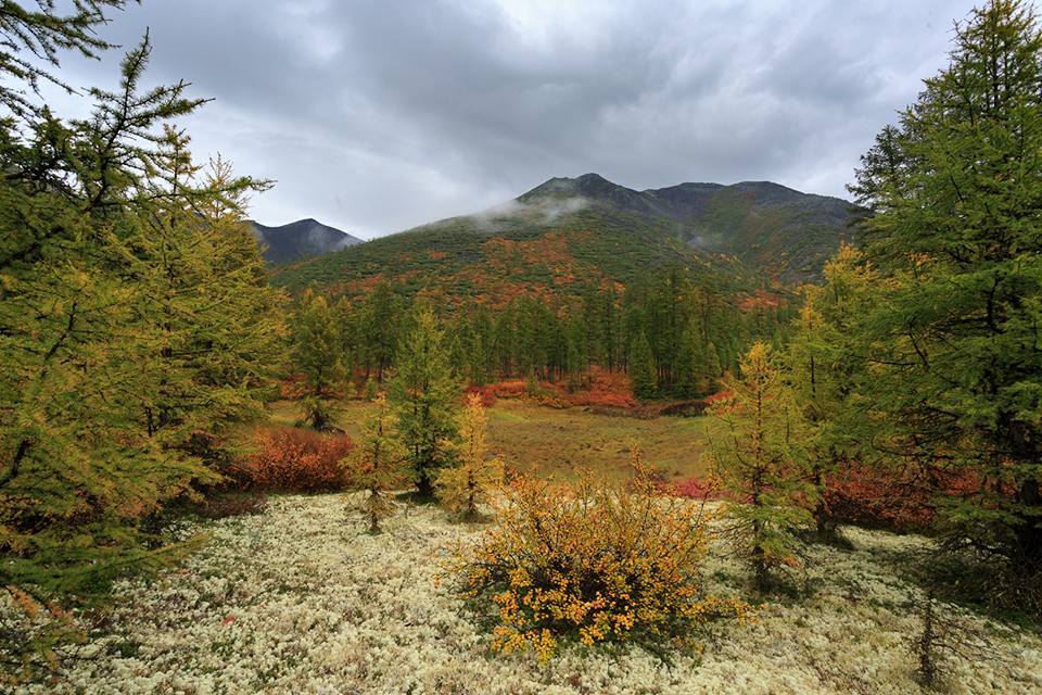 Autumn Yakutia - , Yakutia, September, 2017, The photo, Nature, Landscape, Tourism, Longpost