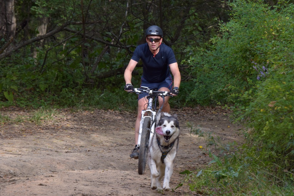 Riding sports of Primorye part 1 - My, Riding sports, Dog, Primorsky Krai, Video, Longpost