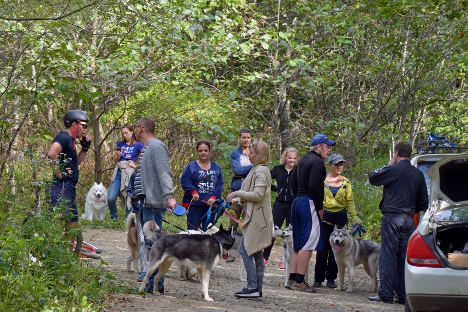 Riding sports of Primorye part 1 - My, Riding sports, Dog, Primorsky Krai, Video, Longpost