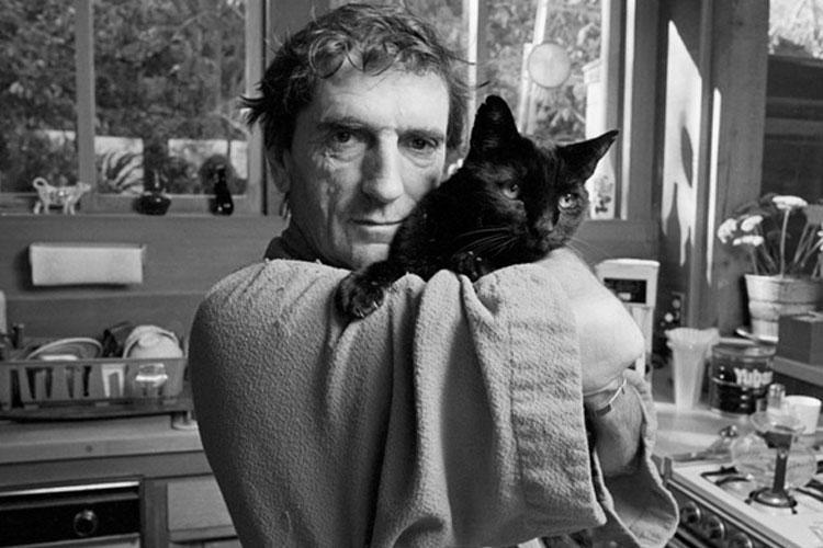 RIP Harry Dean Stanton - Death, , Longpost, Video