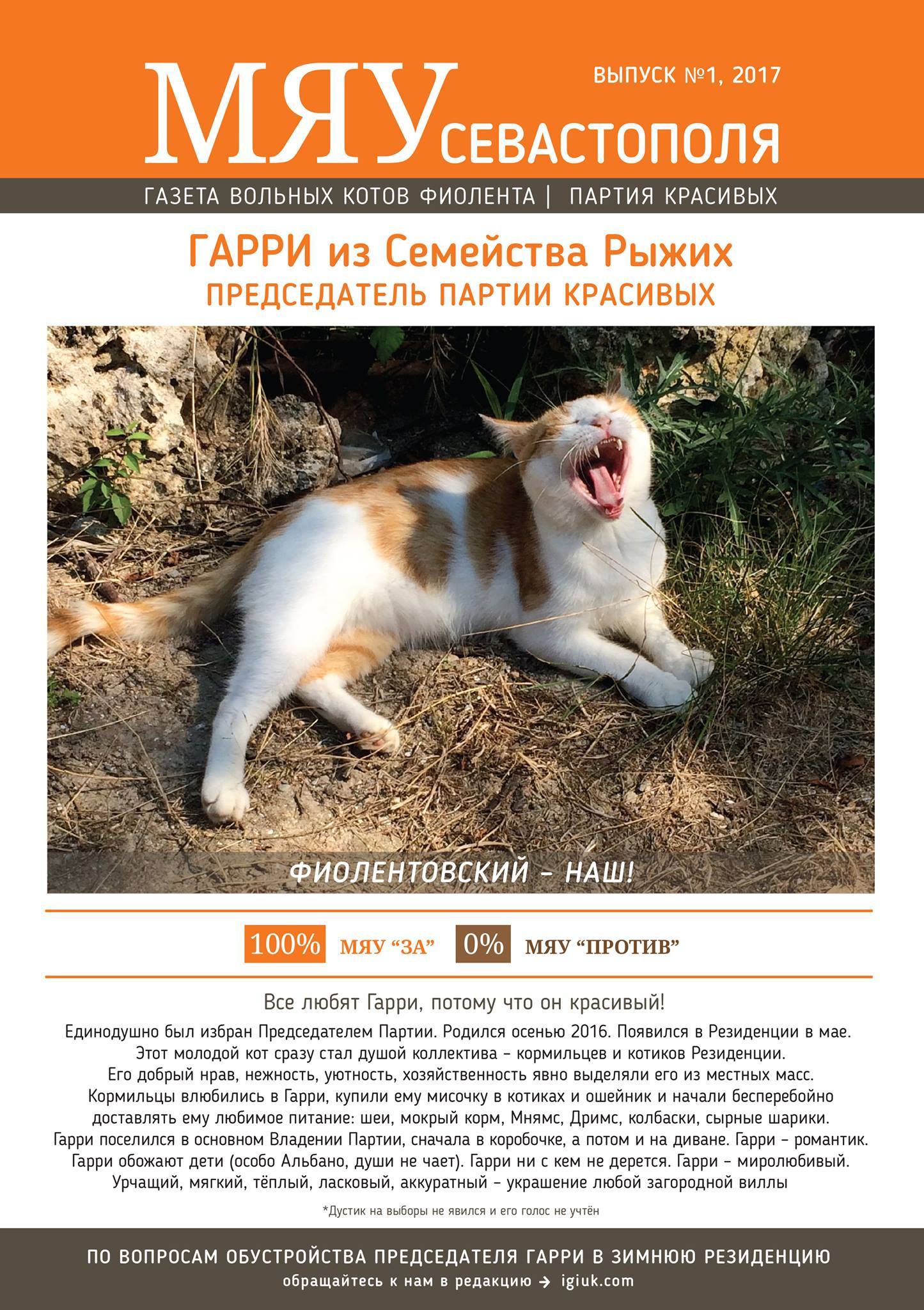 Meow of Sevastopol - the first issue of the newspaper about our Fiolent cats - cat, Crimea, cat house, , In good hands, Longpost, Pet house