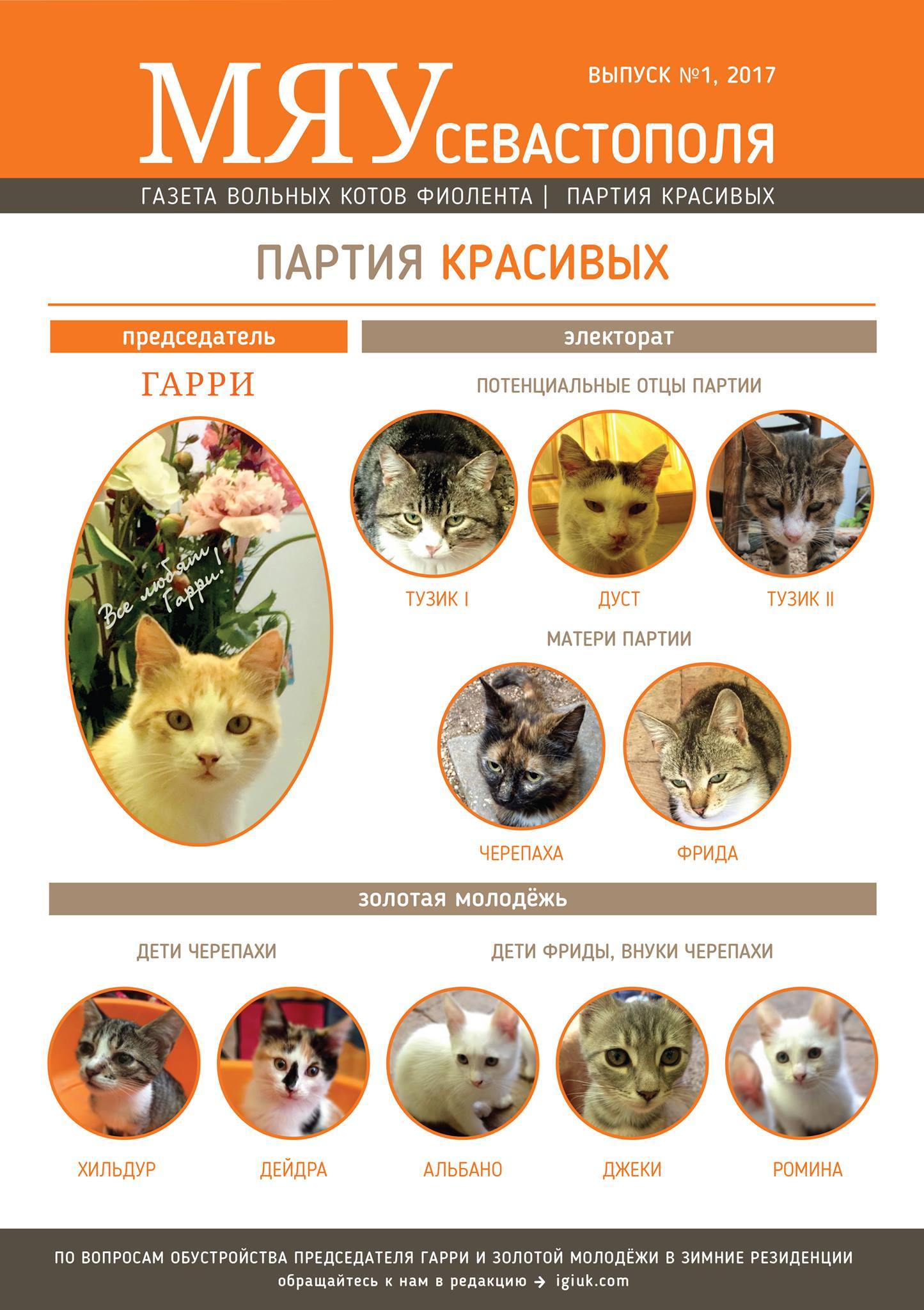 Meow of Sevastopol - the first issue of the newspaper about our Fiolent cats - cat, Crimea, cat house, , In good hands, Longpost, Pet house