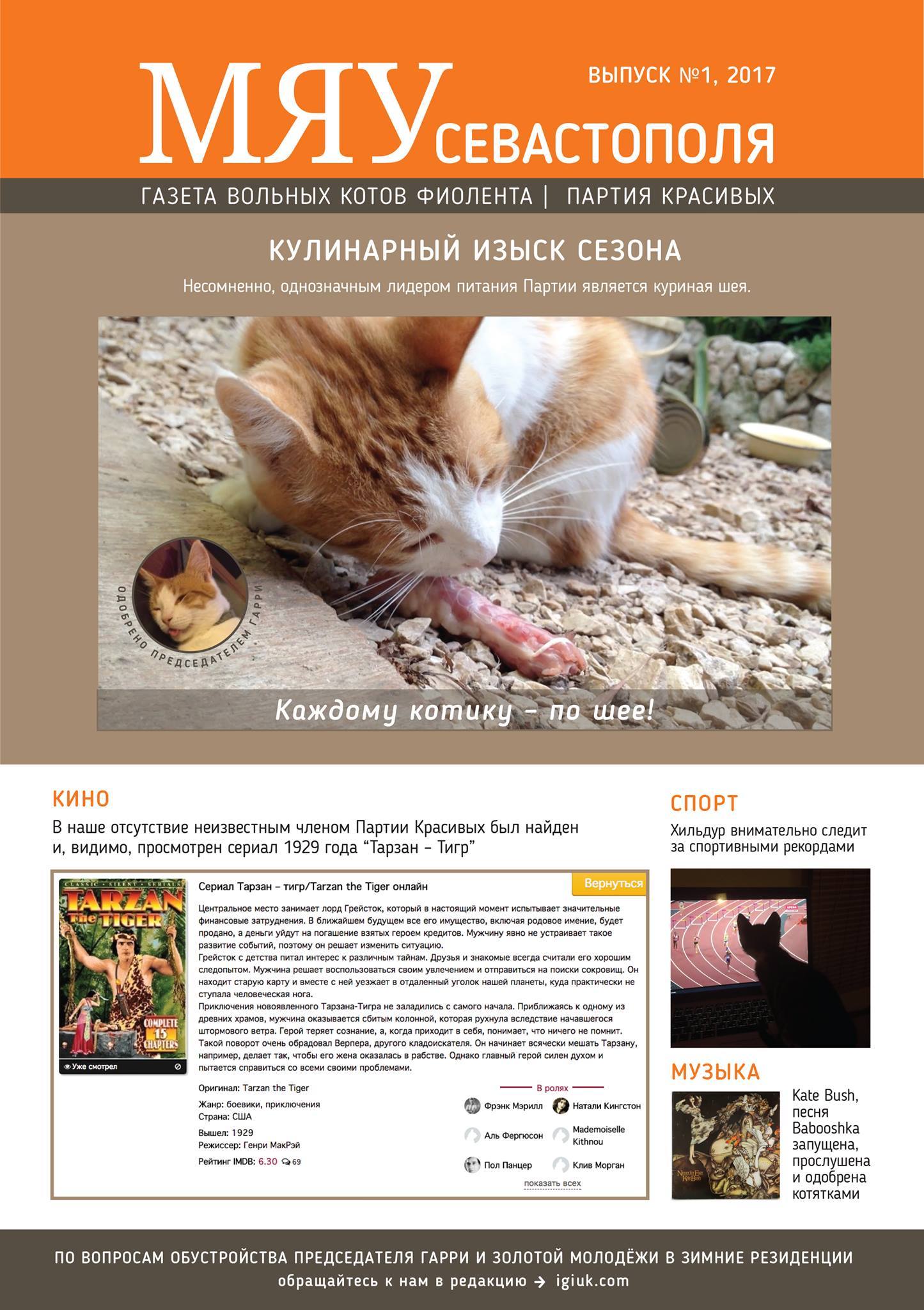 Meow of Sevastopol - the first issue of the newspaper about our Fiolent cats - cat, Crimea, cat house, , In good hands, Longpost, Pet house