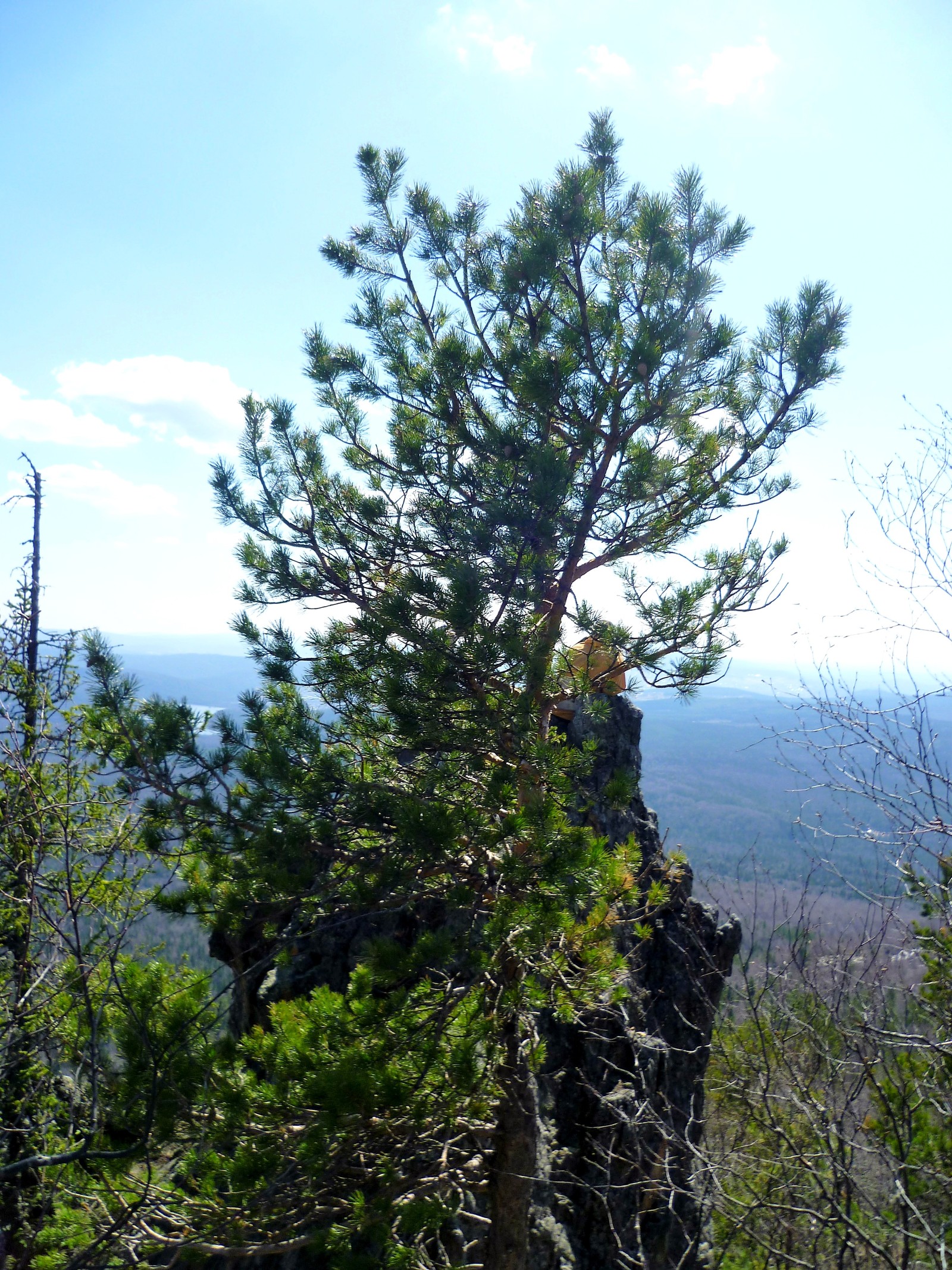 Taganay Two-headed hill top Feathers - My, Taganay, Ural mountains, Ural, Chelyabinsk region, The photo, Longpost