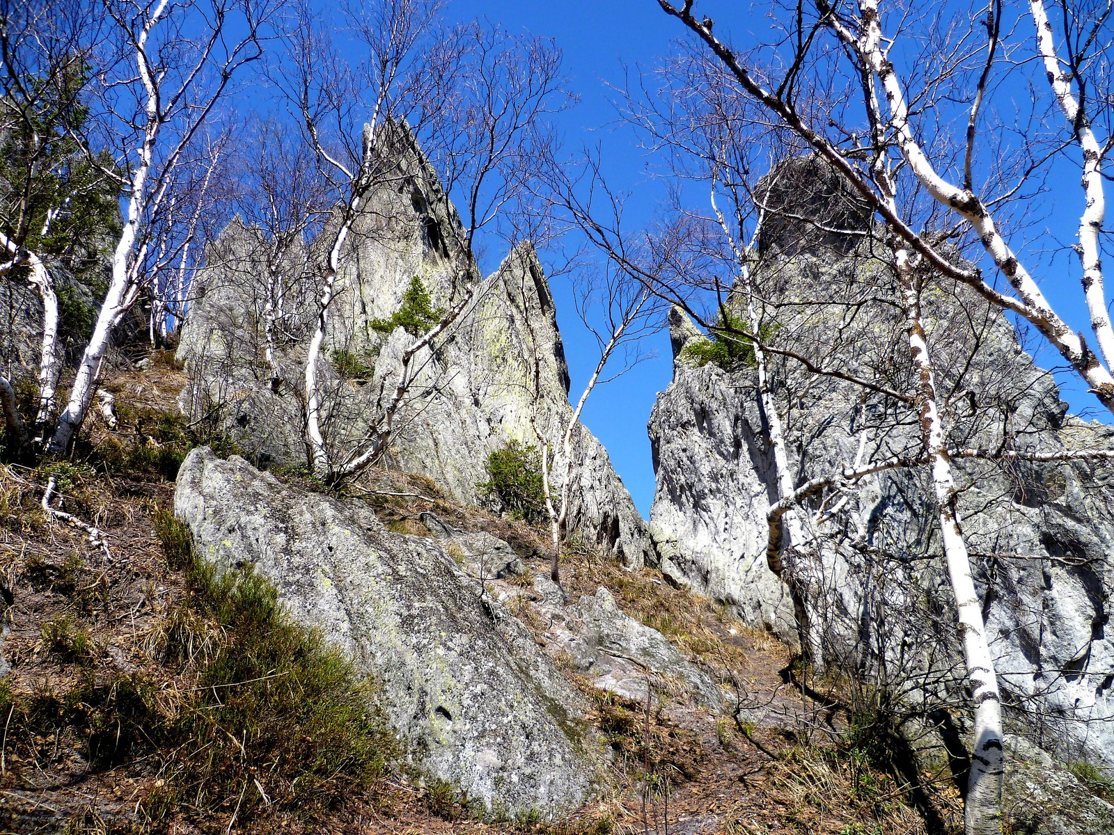 Taganay Two-headed hill top Feathers - My, Taganay, Ural mountains, Ural, Chelyabinsk region, The photo, Longpost