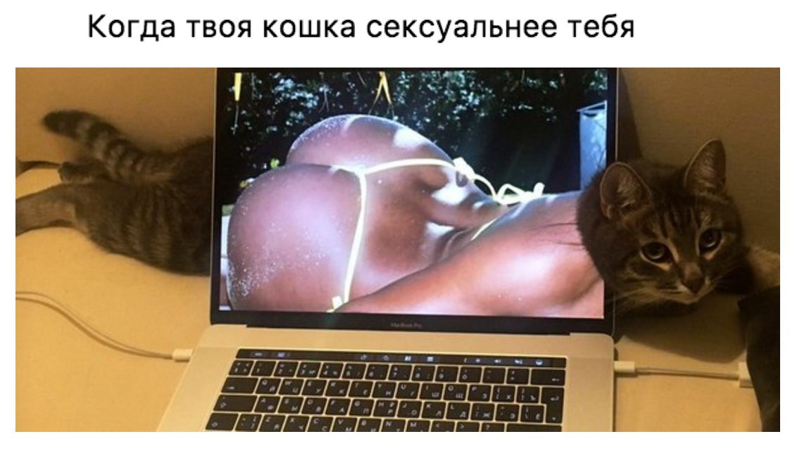 То самое чувство... - NSFW, Кисанька, Фигура, Сексуальность, Ягодицы, Кот, Попа