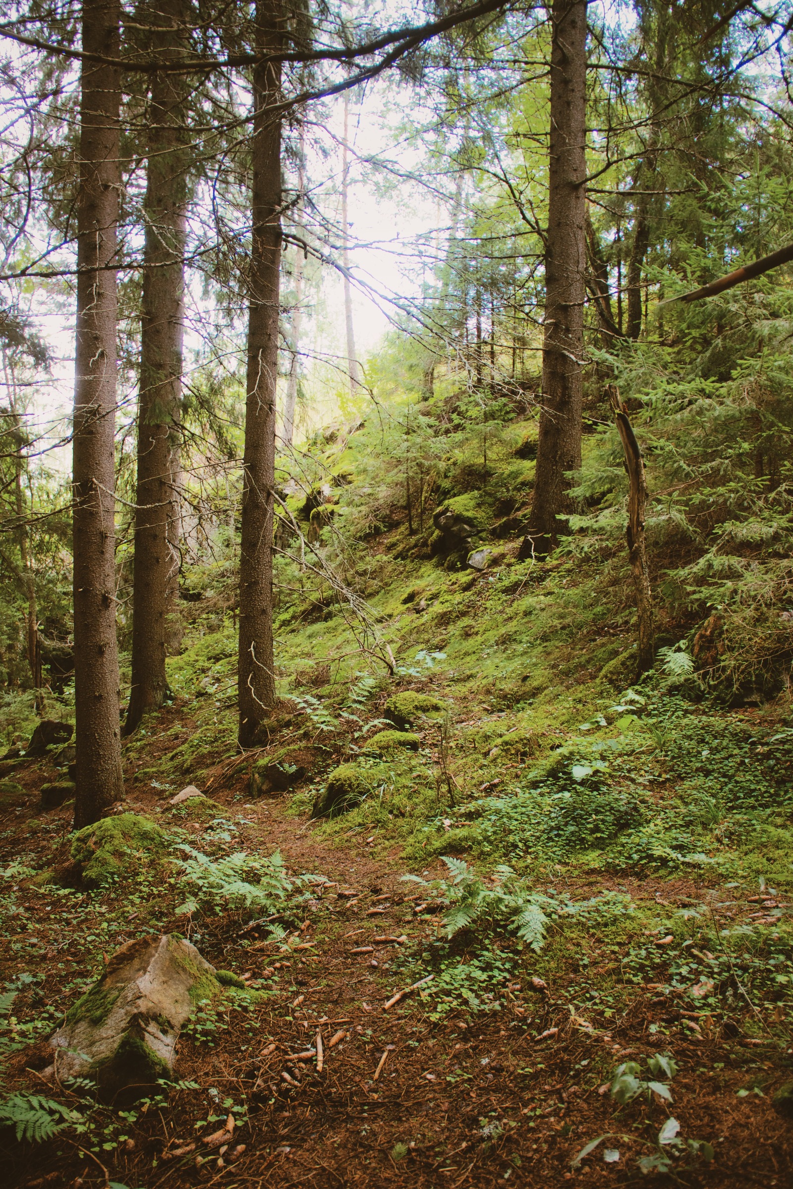 Karelia. - My, Карелия, Tourism, The photo, Road trip, Video, Travels, Nature, Russia, Longpost