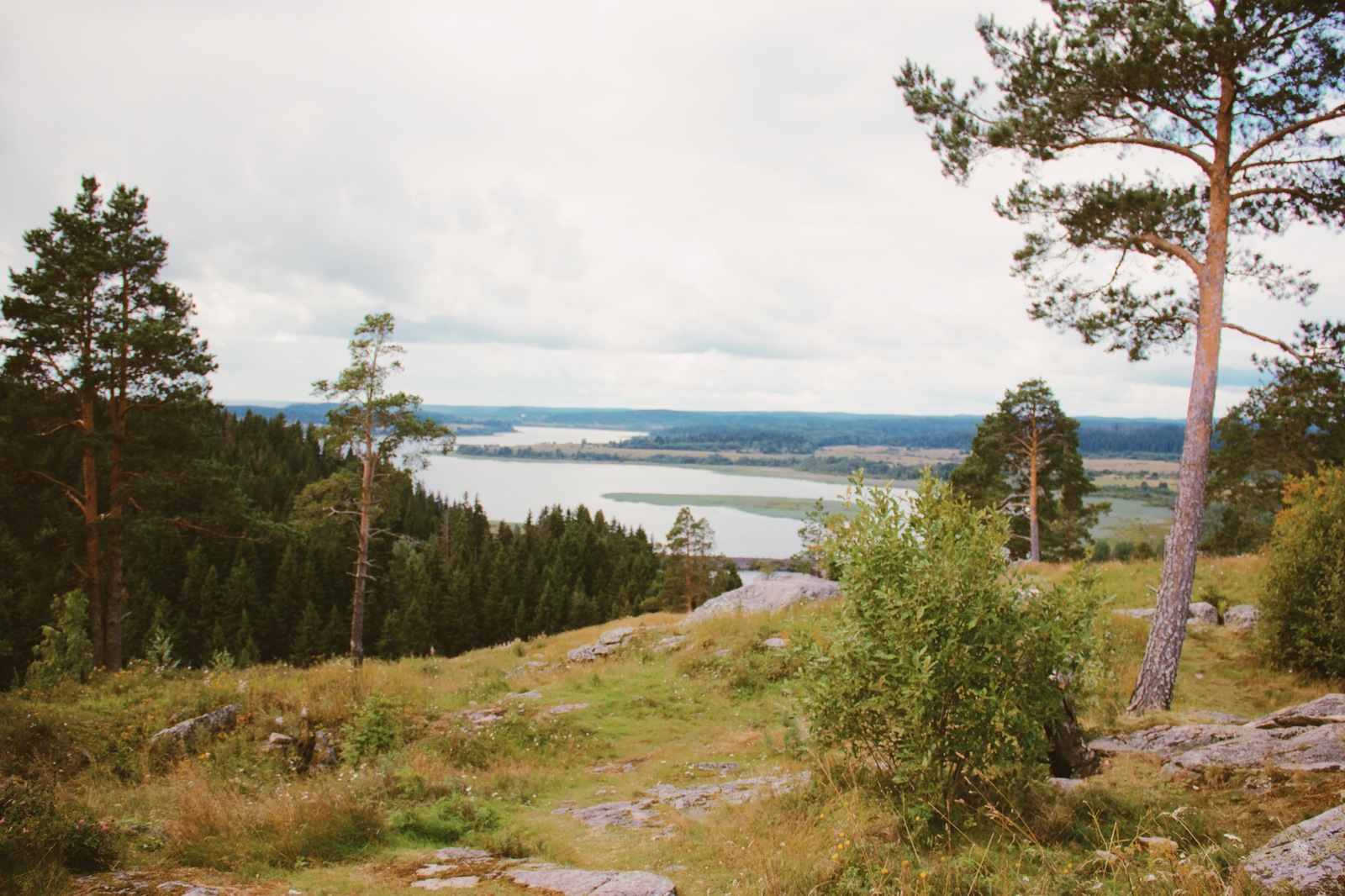 Karelia. - My, Карелия, Tourism, The photo, Road trip, Video, Travels, Nature, Russia, Longpost