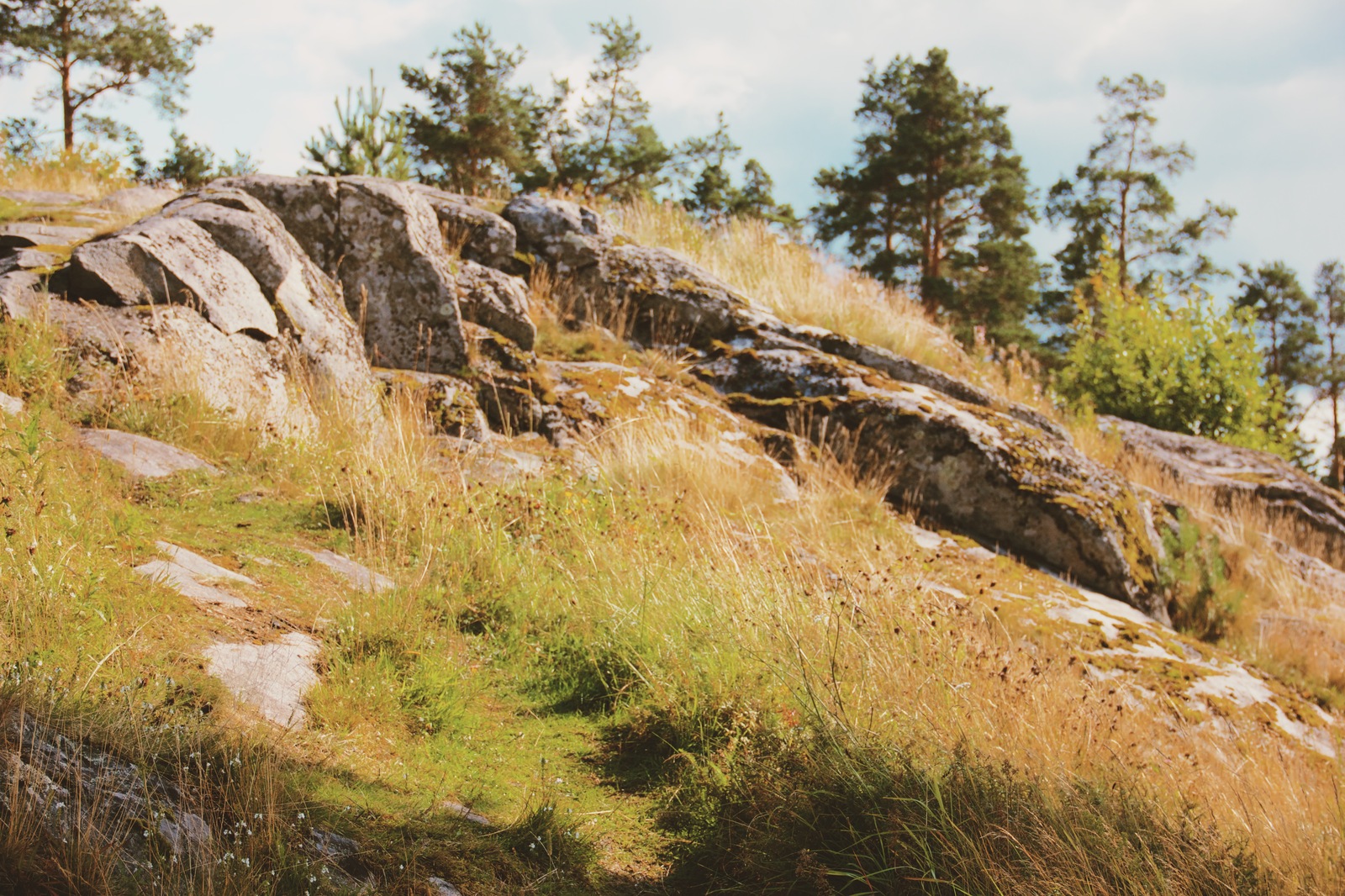 Karelia. - My, Карелия, Tourism, The photo, Road trip, Video, Travels, Nature, Russia, Longpost