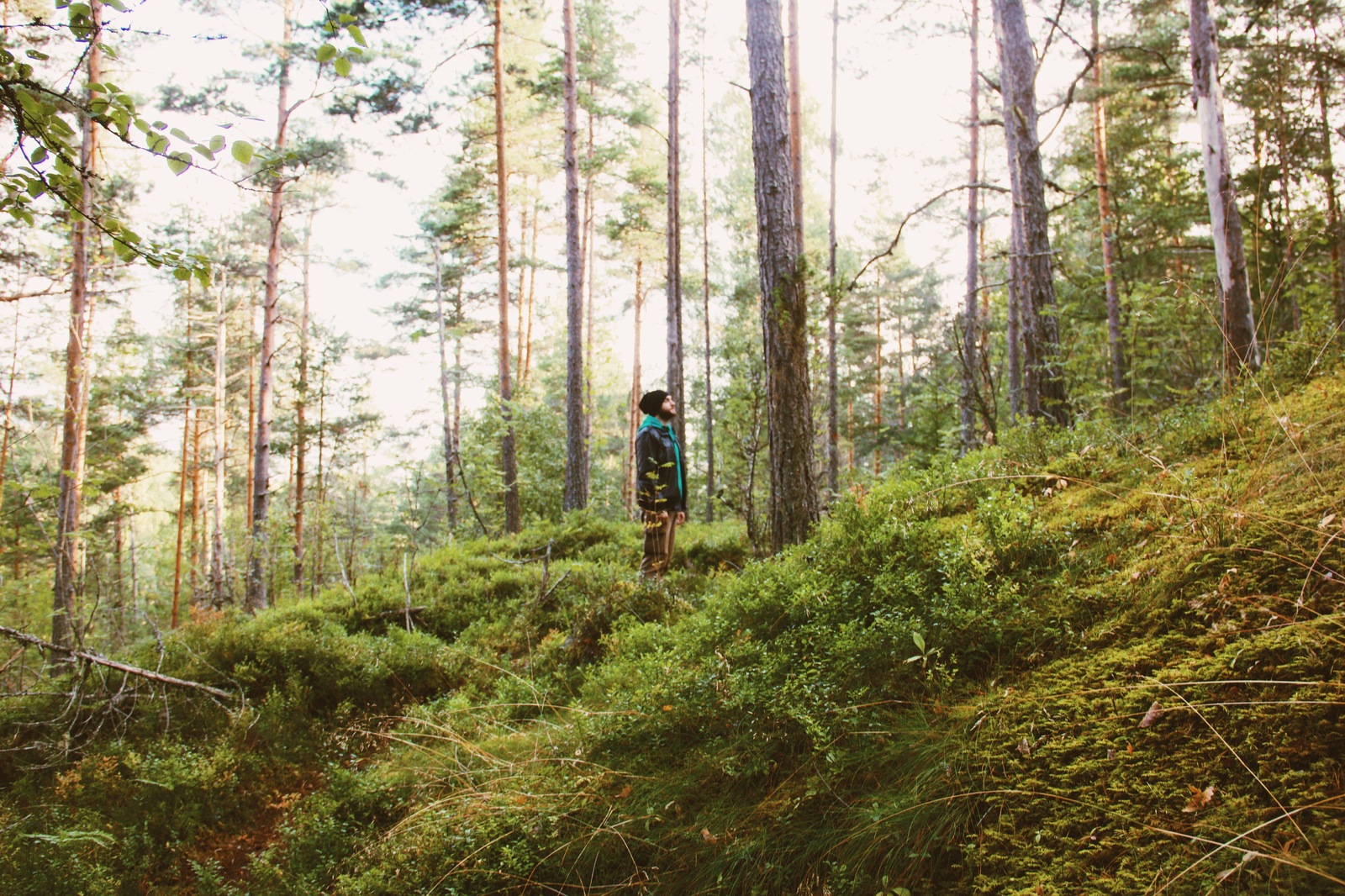 Karelia. - My, Карелия, Tourism, The photo, Road trip, Video, Travels, Nature, Russia, Longpost