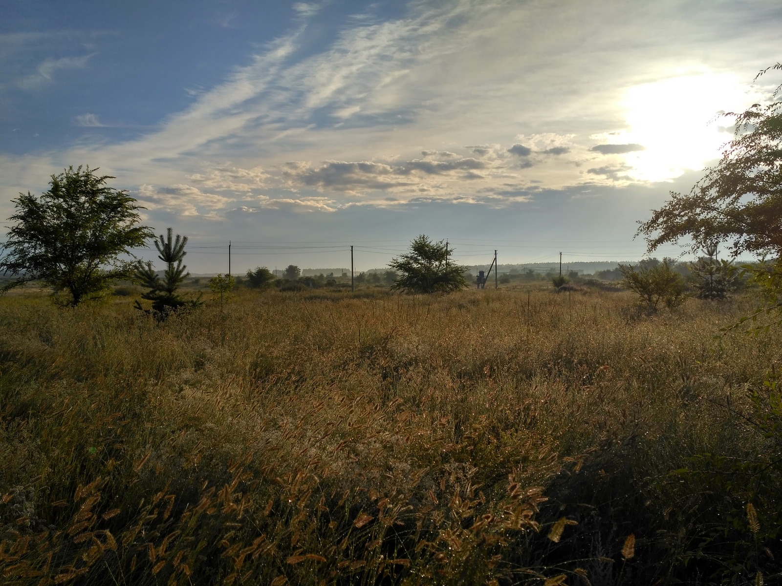 rural spaces. - My, Voronezh region, Village, The photo, Nature, Enthusiasm, Landscape, Longpost