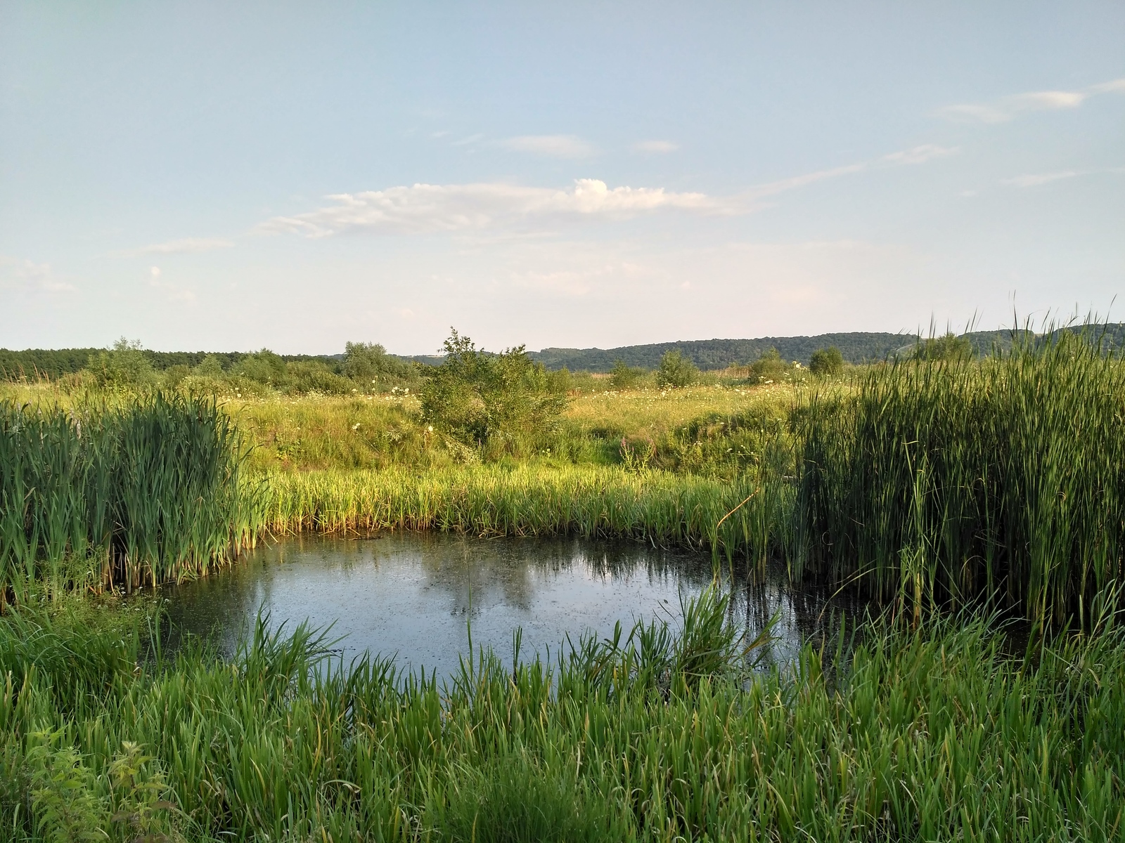 rural spaces. - My, Voronezh region, Village, The photo, Nature, Enthusiasm, Landscape, Longpost