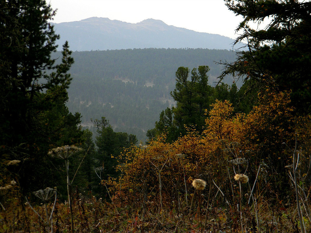 Beauty of Altai - Autumn in Altai, When my uncle's apiary is far away., archive, Longpost