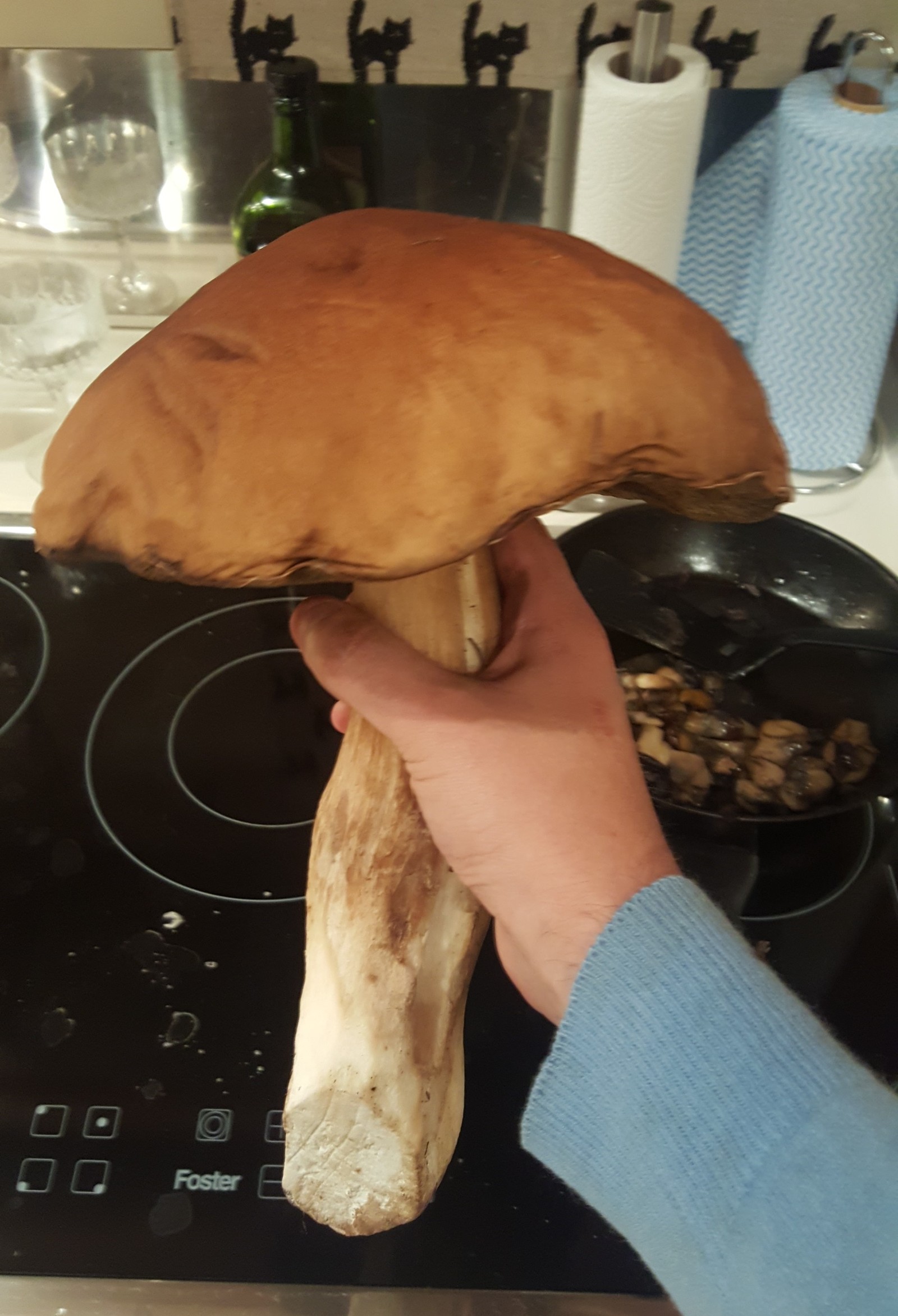 Went mushrooming - My, Porcini, Mushrooms, Silent hunt, Longpost