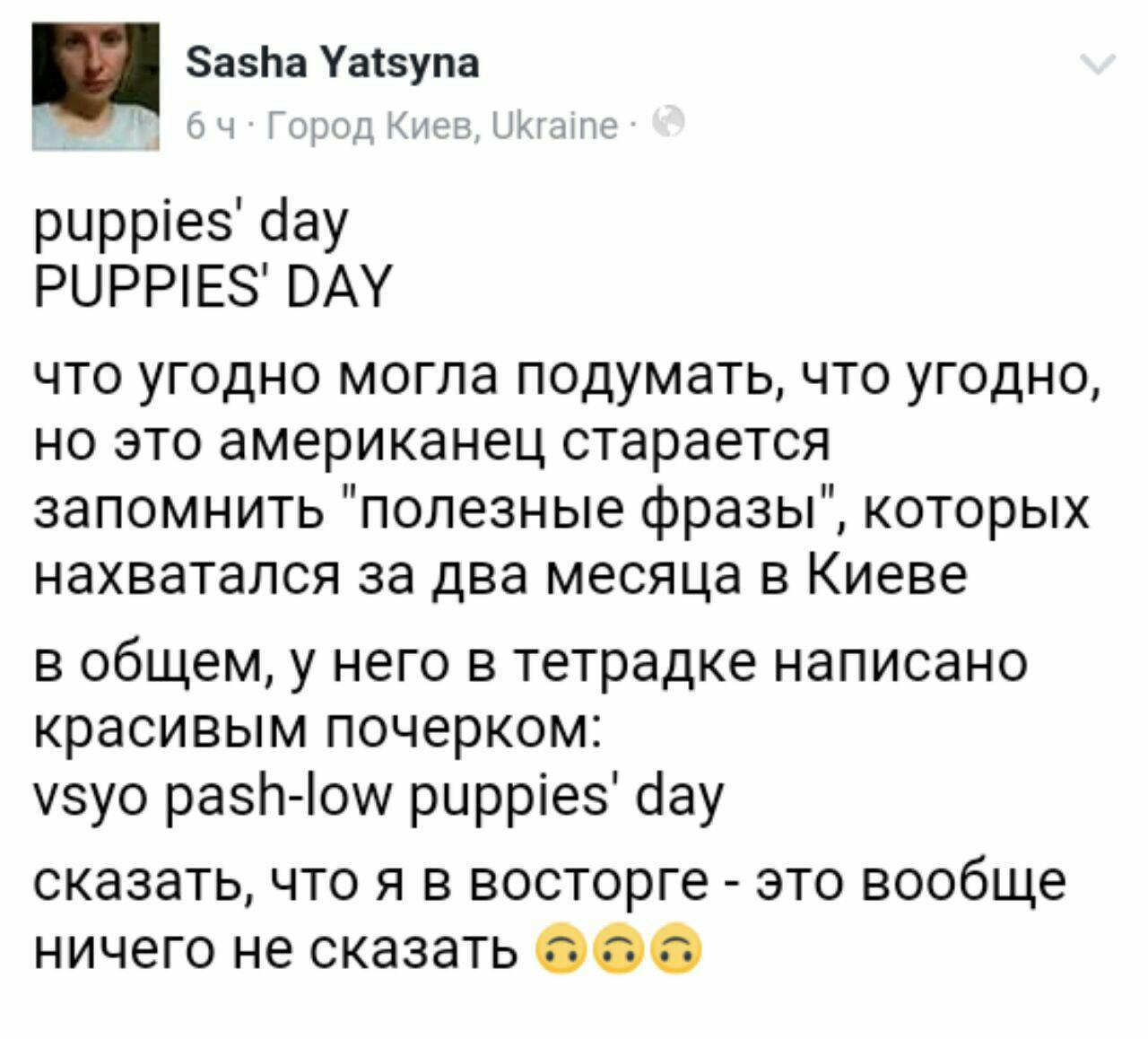 Everything went puppies' day - Twitter, The americans, Mat, Facebook
