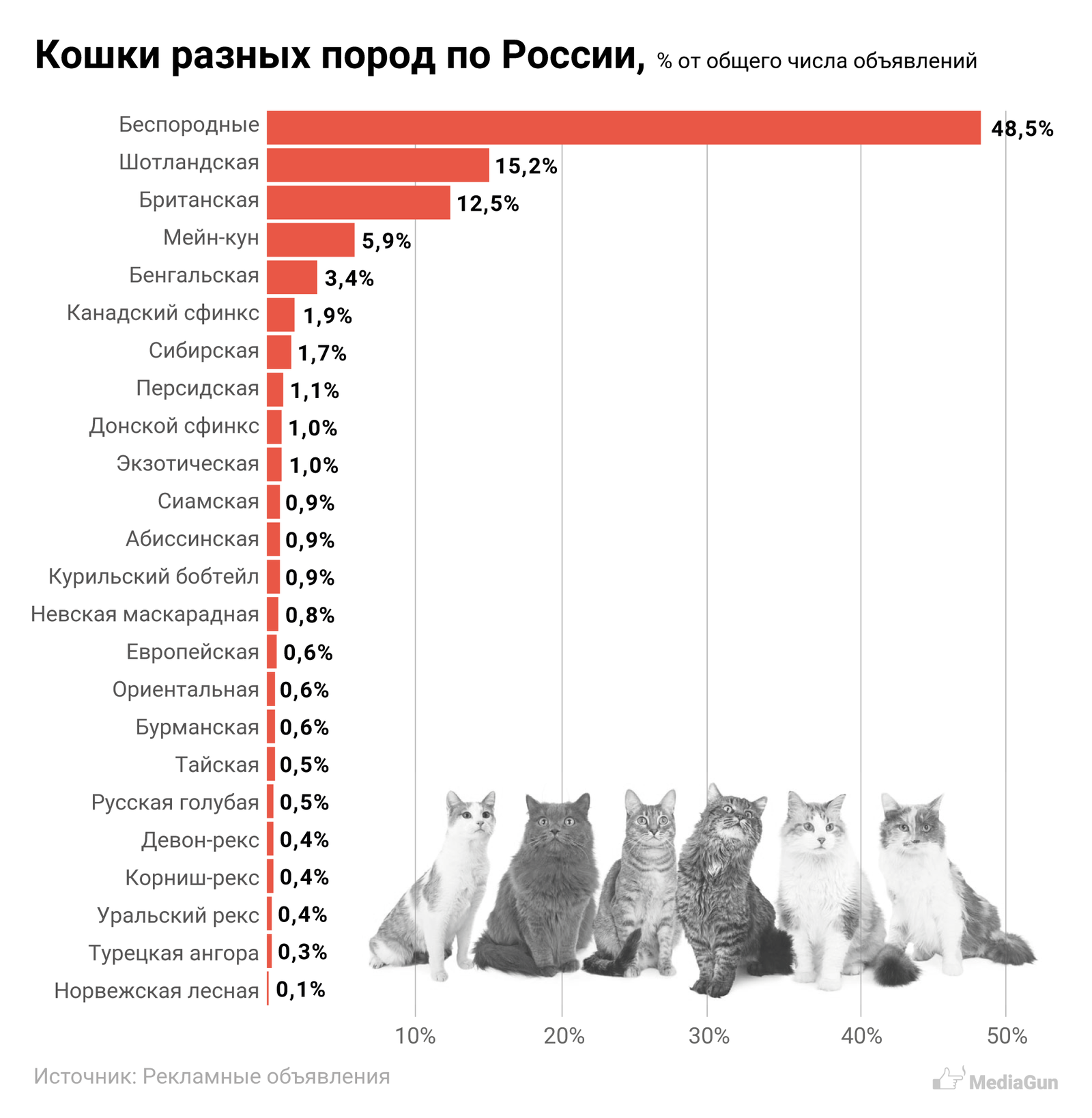 Кошки домашние сколько пород. Статистика пород кошек в России. Самые популярные домашние животные в России. Самые популярные породы кошек список. Популярность кошек.