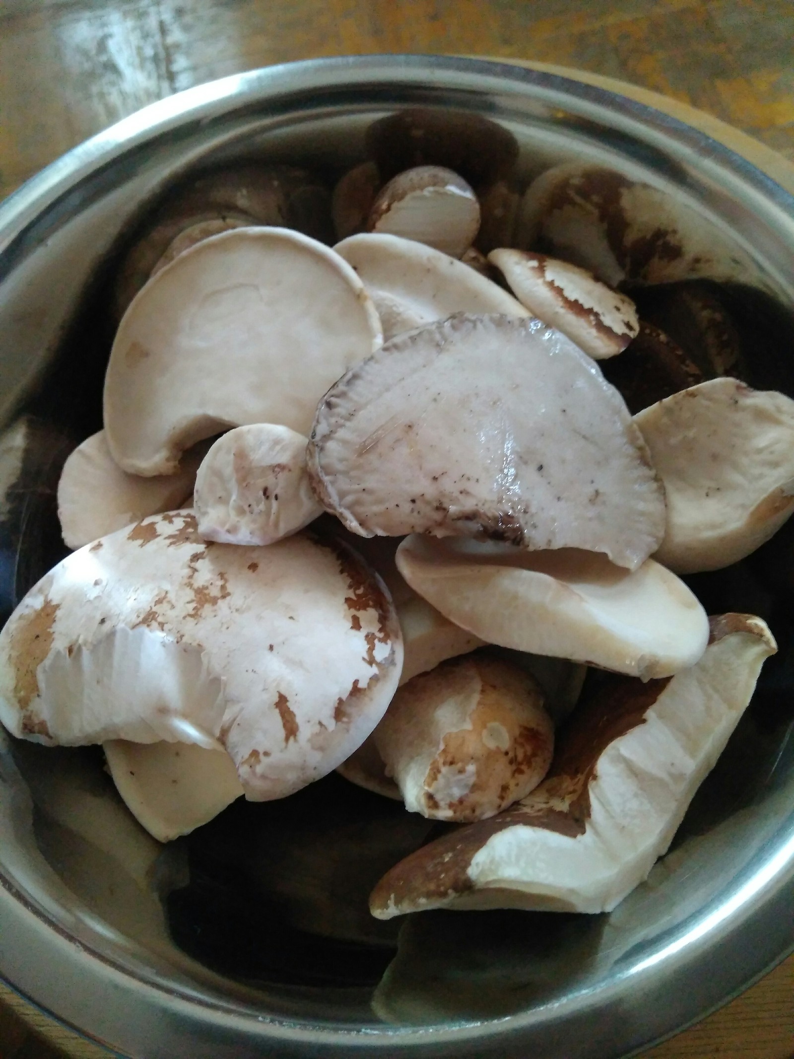 What kind of mushrooms? - My, Mushrooms, , Longpost