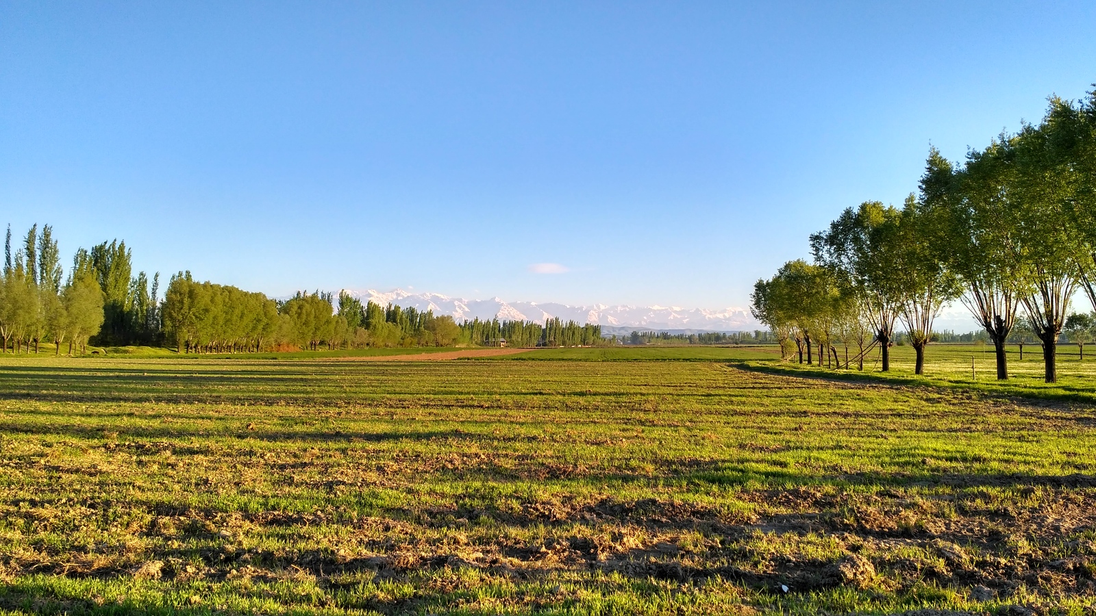 Evening views. - My, Kyrgyzstan, Osh, The photo, Landscape, Evening, Nature, The mountains, Enthusiasm, Longpost