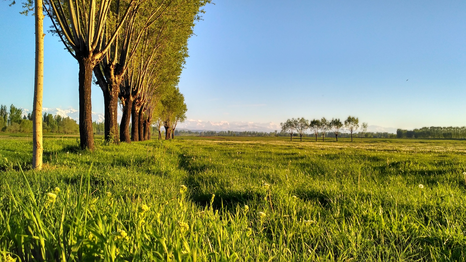 Evening views. - My, Kyrgyzstan, Osh, The photo, Landscape, Evening, Nature, The mountains, Enthusiasm, Longpost