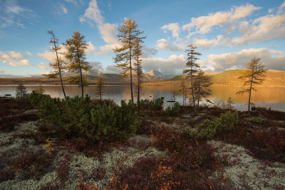 Golden autumn in Kolyma - September, Autumn, Russia, The photo, Nature, Landscape, Tourism, Kolyma, Longpost