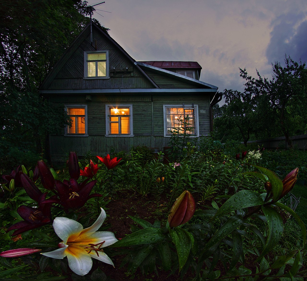 House with a mezzanine, Leningrad region - Saint Petersburg, Leningrad region, Flowers, The photo, Cosiness, House, Lily