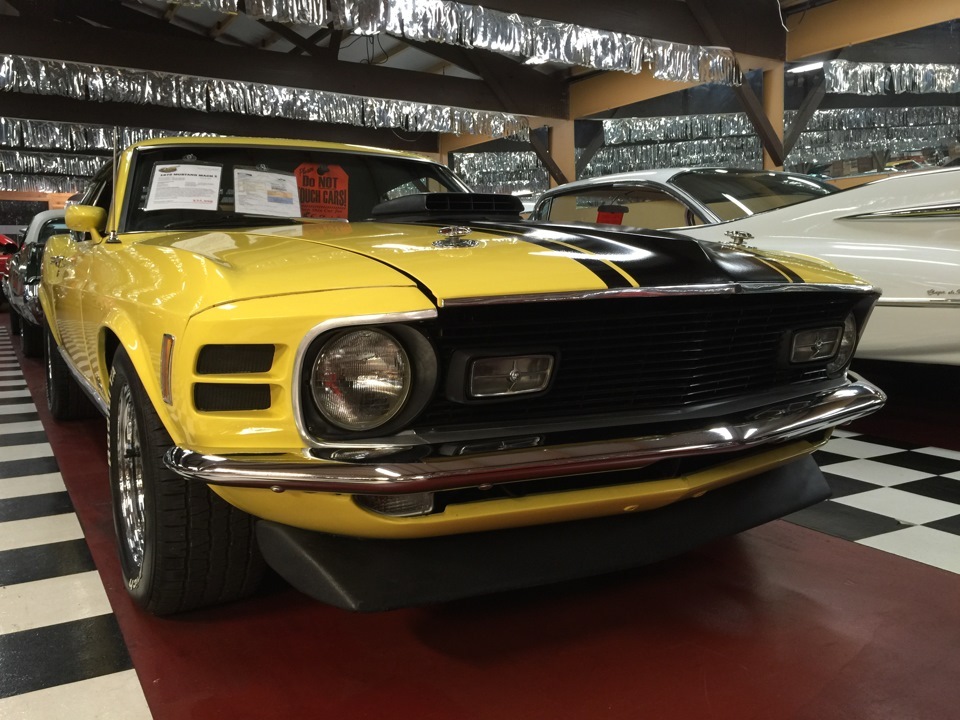 May Day in Chicago, Auto Museum Volo - Mustangs. - My, Museum, Chicago, Mustang, Boss, , , Longpost