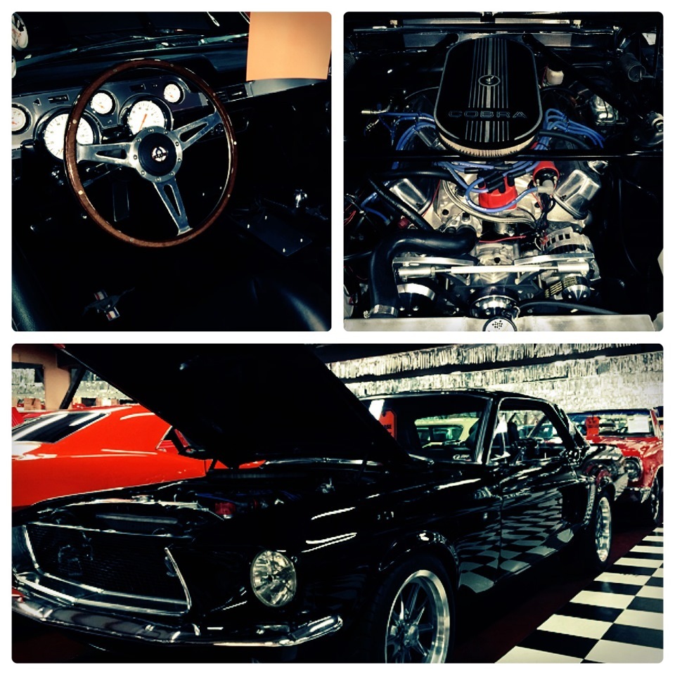 May Day in Chicago, Auto Museum Volo - Mustangs. - My, Museum, Chicago, Mustang, Boss, , , Longpost