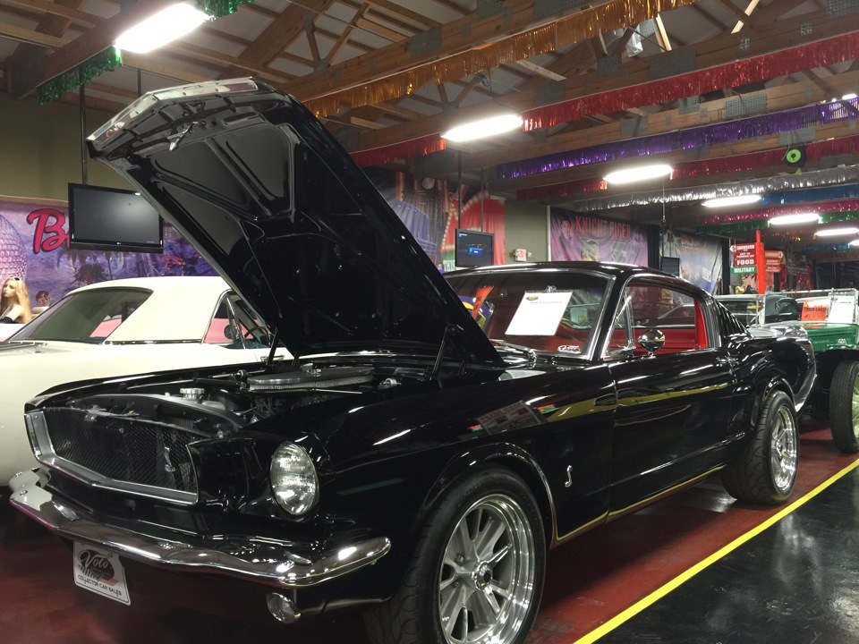 May Day in Chicago, Auto Museum Volo - Mustangs. - My, Museum, Chicago, Mustang, Boss, , , Longpost