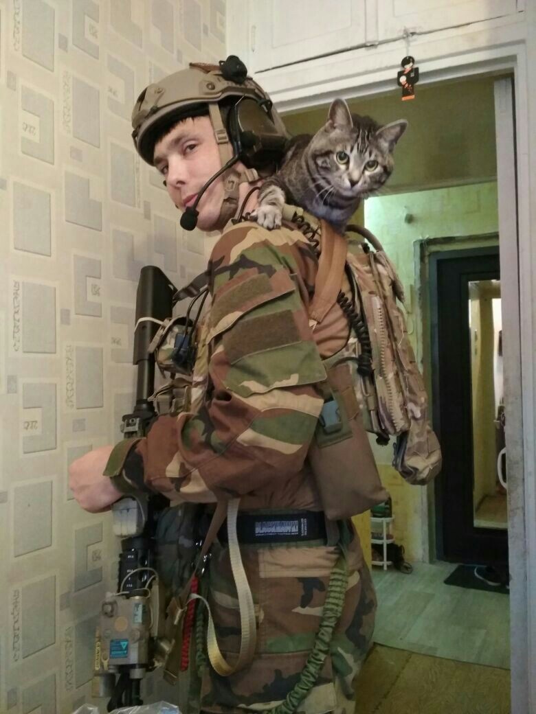 When you were going to operate severely, but the cat won't let you in - My, Airsoft, cat, The photo