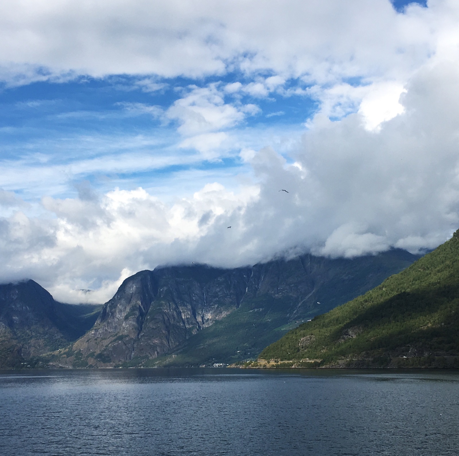 Norway, you are Love! - My, Norway, The mountains, Fjords, Images, The photo, Longpost, Tourism Day