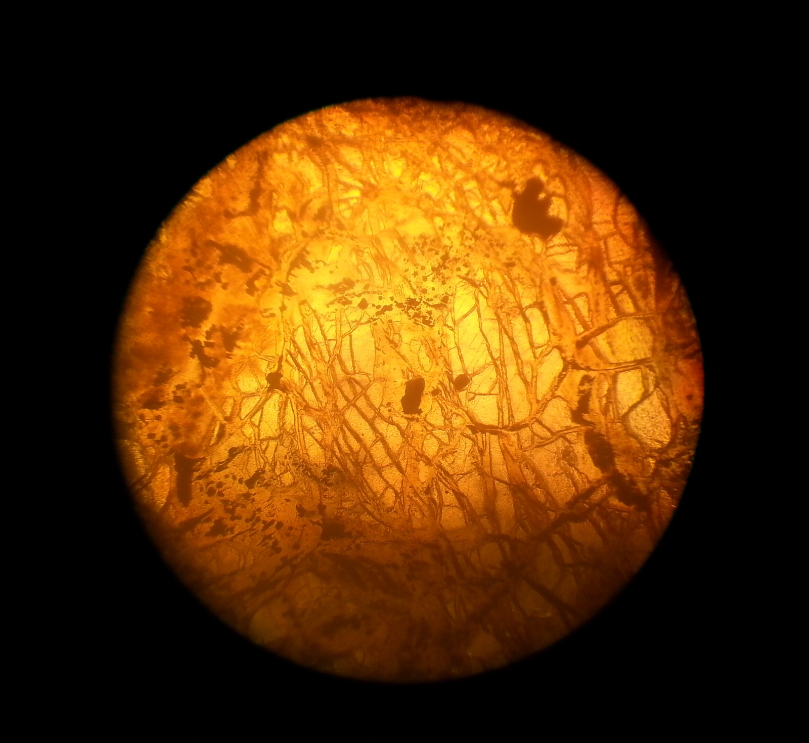 Planet Slif under a microscope - My, Mineralogy, Minerals, Geology, Petrography, Microscope