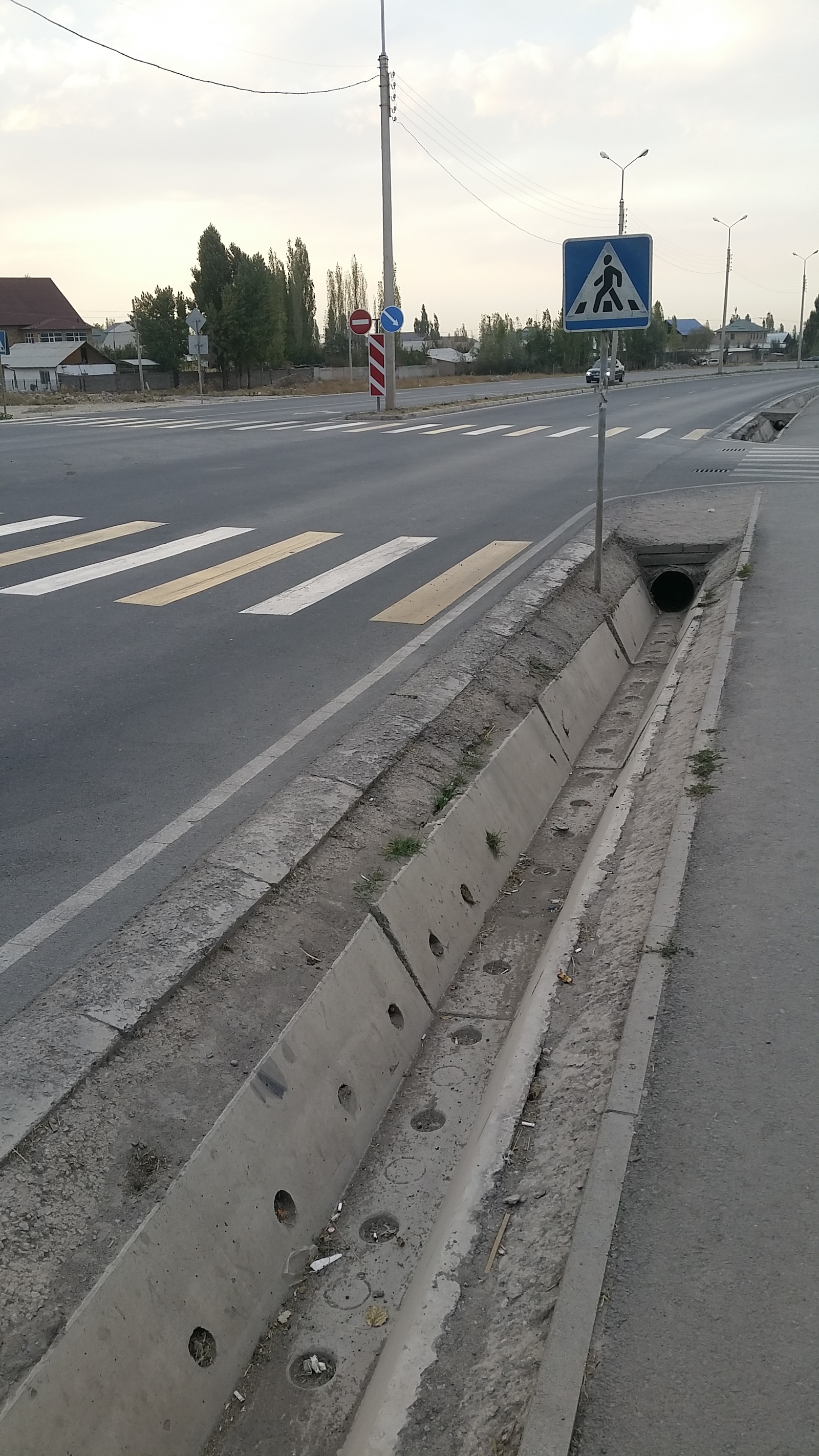Зёбра. | Пикабу